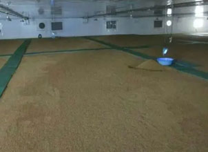 各红蓝cp官方版下载优惠活动（科研学